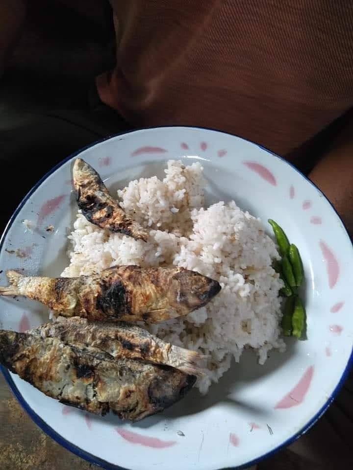 Nasi ikan asin