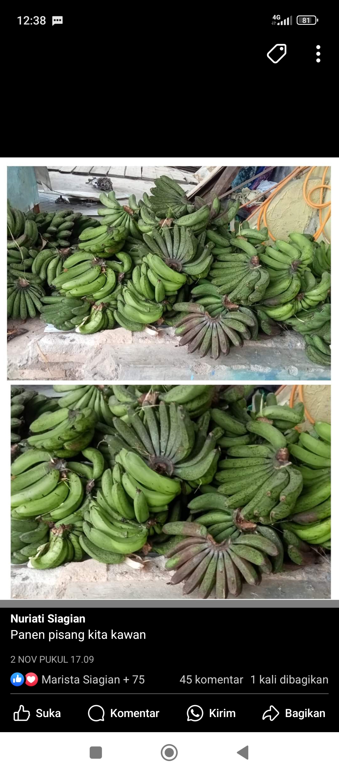 Pisang Barangan